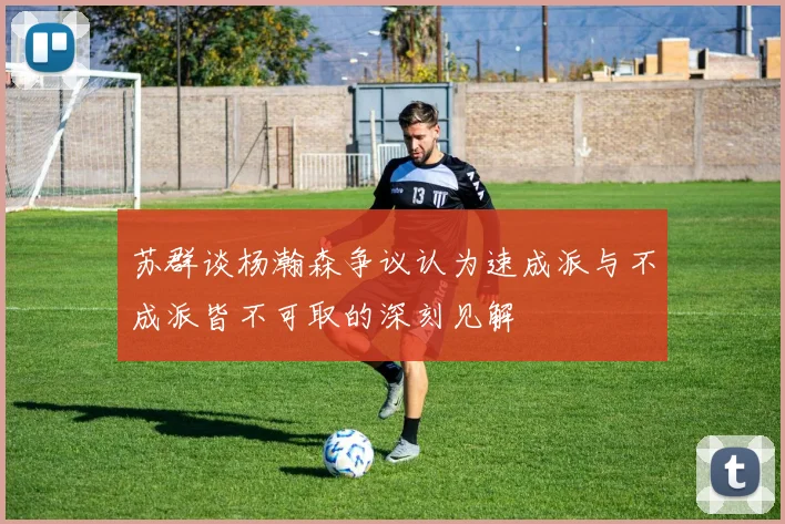苏群谈杨瀚森争议认为速成派与不成派皆不可取的深刻见解